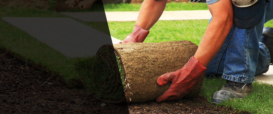 Monmouth Junction Landscapers